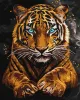 Painting by numbers - Wild tiger ©art_selena_ua