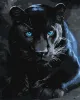 Malen nach Zahlen - Ein wilder Panther ©art_selena_ua