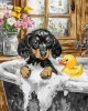 Malen nach Zahlen - Badetag ©art_selena_ua