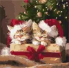 Painting by numbers - Fluffy gifts ©art_selena_ua