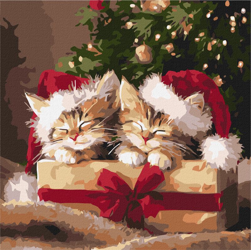 Malen nach Zahlen - Flauschige Geschenke ©art_selena_ua