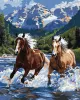 Malen nach Zahlen - Kraft in Bewegung ©art_selena_ua