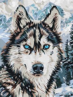 Malen nach Zahlen - Augen des Nordens ©art_selena_ua