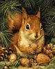 Malen nach Zahlen - Eichhörnchen und Nüsse ©art_selena_ua
