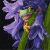 Malen nach Zahlen - Frosch im Regen ©art_selena_ua