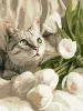 Malen nach Zahlen - Grünäugige Katze mit Tulpen ©art_selena_ua