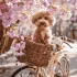 Painting by numbers - Bloom Ride ©art_selena_ua