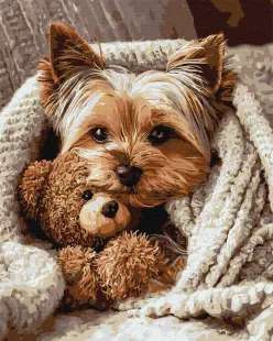 Malen nach Zahlen - Yorkshire Terrier mit Teddybär ©art_selena_ua