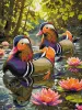 Malen nach Zahlen - Enten zwischen Seerosen ©art_selena_ua