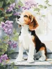 Malen nach Zahlen - Beagle in der Nähe von Blumen ©art_selena_ua