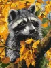 Painting by numbers - Autumn and the raccoon ©art_selena_ua