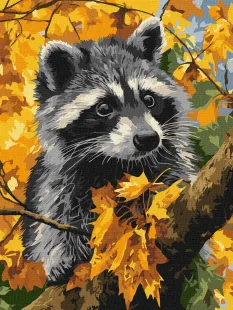 Malen nach Zahlen - Herbst und der Waschbär ©art_selena_ua