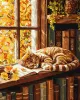 Painting by numbers - Cat and the Book ©art_selena_ua