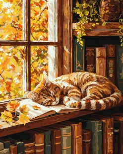 Malen nach Zahlen - Katze und das Buch ©art_selena_ua