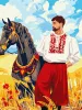 Malen nach Zahlen - Kosak auf dem Feld ©art_selena_ua