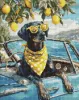 Diamond mosaic - Lemon dog with glasses ©art_selena_ua