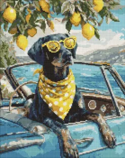 Diamond Painting - Zitronenhund mit Brille ©art_selena_ua