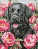Diamond Painting - Ein Hund in Pfingstrosen ©art_selena_ua