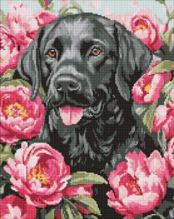 Diamond Painting - Ein Hund in Pfingstrosen ©art_selena_ua