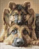 Diamond Painting - Immer zusammen ©art_selena_ua