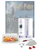 Diamond Painting - Harry Potter: Hogwarts bei Nacht ©Warner Bros.