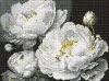 Diamond Painting ohne Rahmen - Makellose Schönheit ©art_selena_ua