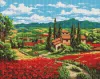 Diamond mosaic - Poppy field near the house ©art_selena_ua
