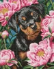 Diamond Painting - Schnurrhaare – Blumige Träume ©art_selena_ua