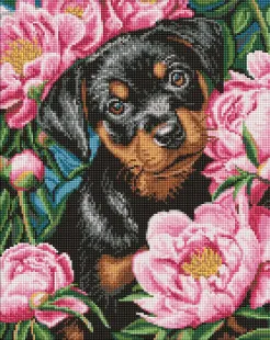 Diamond Painting - Schnurrhaare – Blumige Träume ©art_selena_ua