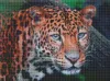Diamond Painting - Wilder Look