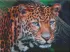 Diamond Painting - Wilder Look