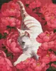Diamond Painting - Katze in Pfingstrosen ©Kira Corporal
