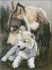 Diamond mosaic - Wolf's tenderness