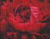 Diamond mosaic - An exquisite flower