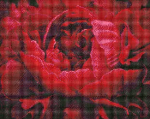 Diamond Painting - Exquisite Blume