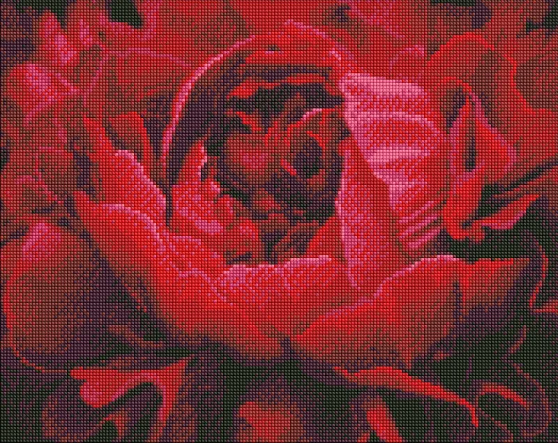 Diamond Painting - Exquisite Blume