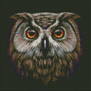 Diamond Painting - Vogel der Weisheit