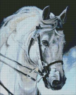 Diamond Painting - Stolzes Pferd