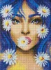 Diamond Painting - Kamille-Stimmung ©pollypop92