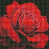 Diamond Painting - Roter Rose ©annasteshka