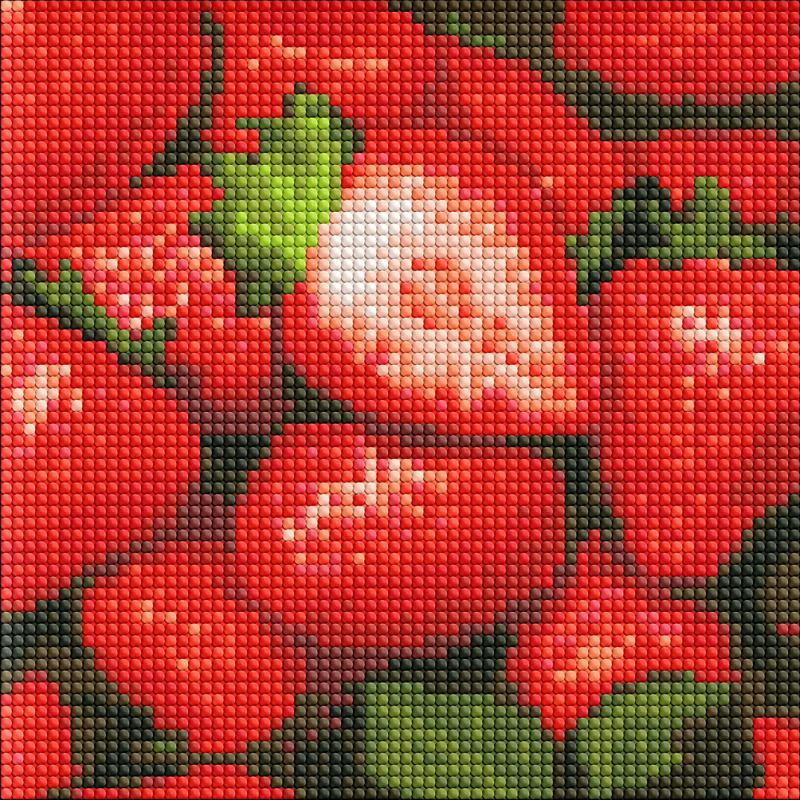 Diamond Painting ohne Rahmen - Saftige Erdbeere