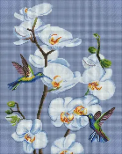 Diamond Painting - Blühende Orchideen mit holografischen Strasssteinen (AB) ©annasteshka