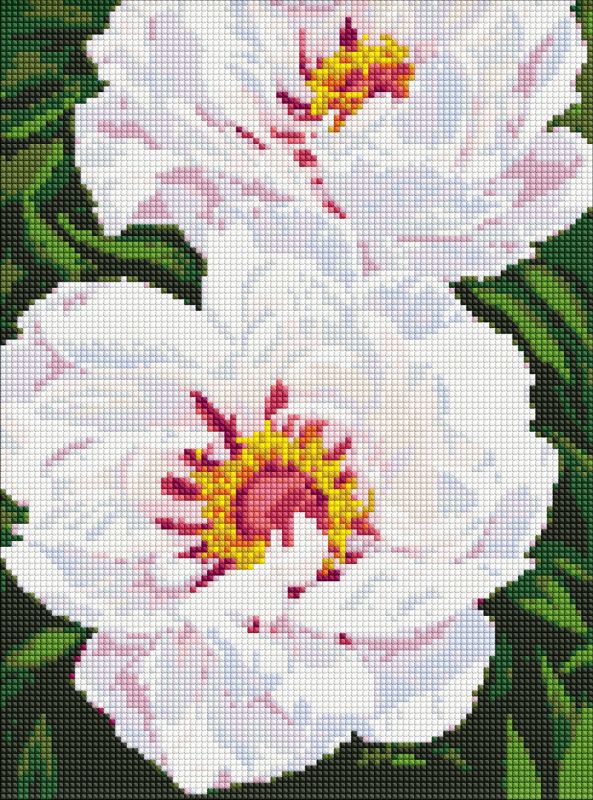 Diamond Painting - Weiße Pfingstrosen ©ArtAlekhina
