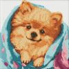 Diamond Painting - Glücklicher Spitz ©art_selena_ua