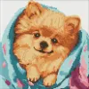 Diamond Painting - Glücklicher Spitz ©art_selena_ua