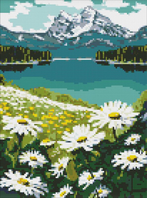 Diamond Painting - Blühende Gänseblümchen ©art_selena_ua