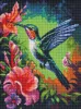 Diamond Painting - Ein anmutiger Kolibri mit holografischen Strasssteinen (AB) ©art_selena_ua