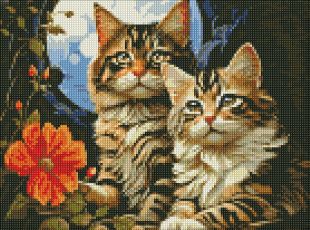 Diamond Painting ohne Rahmen - Magische Kätzchen ©art_selena_ua