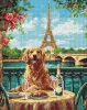 Diamond mosaic - A retriever in Paris ©art_selena_ua