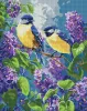 Diamond Painting - Frühlingsduett ©art_selena_ua